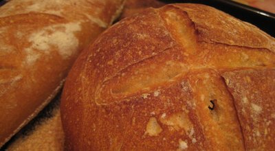 Two freshly baked loaves of bread resting on a wooden tray, showcasing their golden crusts and inviting aroma
